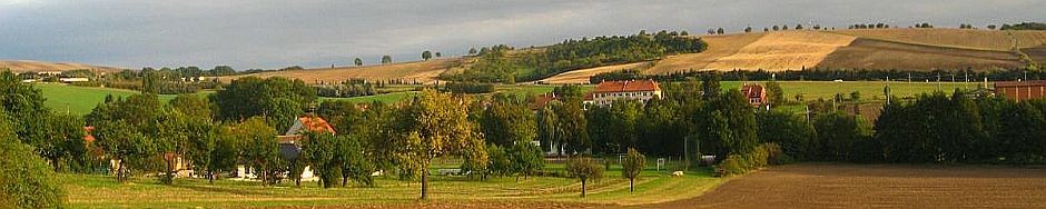 Slavíkovice